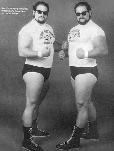 Two Woofy Tuesday (Beary Yummy Seconds): The Power Twins, David & Larry Sontag